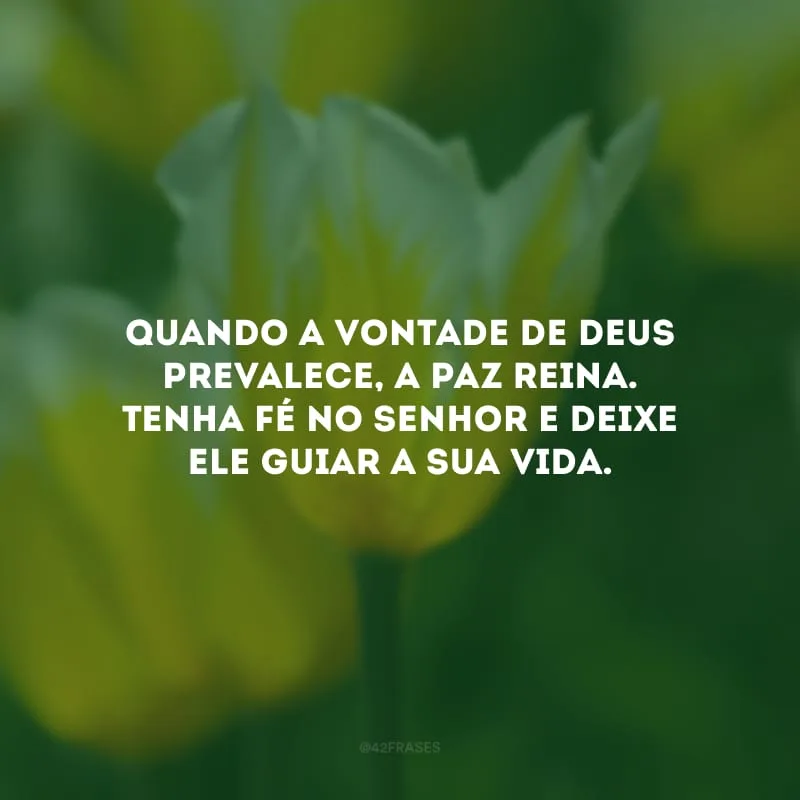 Quando a vontade de Deus prevalece, a paz reina. Tenha fé no Senhor e deixe Ele guiar a sua vida.