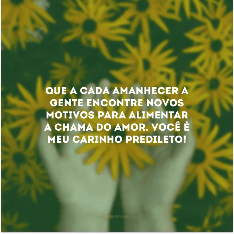 Que a cada amanhecer a gente encontre novos motivos para alimentar a chama do amor. Você é meu carinho predileto!