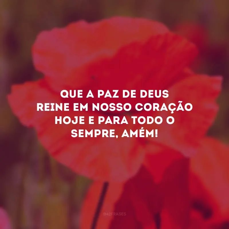 Que a paz de Deus reine em nosso coração hoje e para todo o sempre, amém.