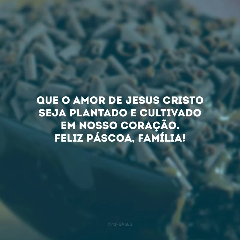 Que o amor de Jesus Cristo seja plantado e cultivado em nosso coração. Feliz Páscoa, família!