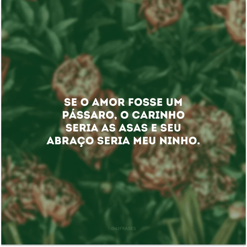 Se o amor fosse um pássaro, o carinho seria as asas e seu abraço seria meu ninho.