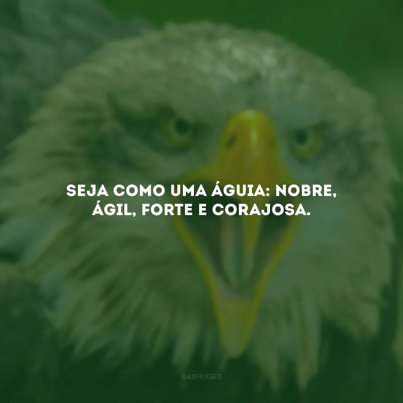 Seja como uma águia: nobre, ágil, forte e corajosa.