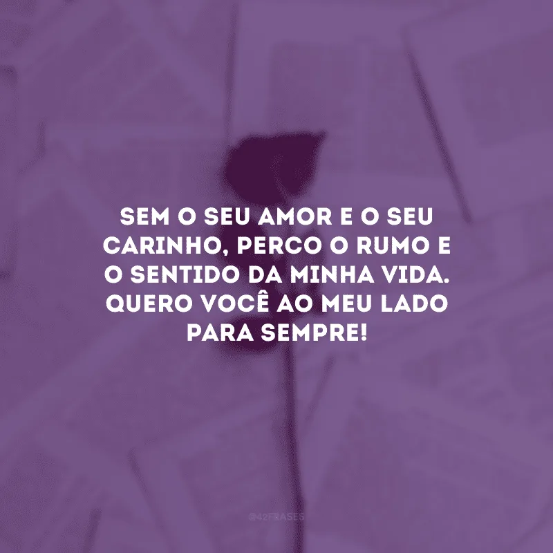 Sem o seu amor e o seu carinho, perco o rumo e o sentido da minha vida. Quero você ao meu lado para sempre!