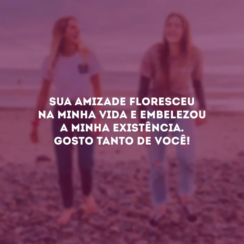 Sua amizade floresceu na minha vida e embelezou a minha existência. Gosto tanto de você!
