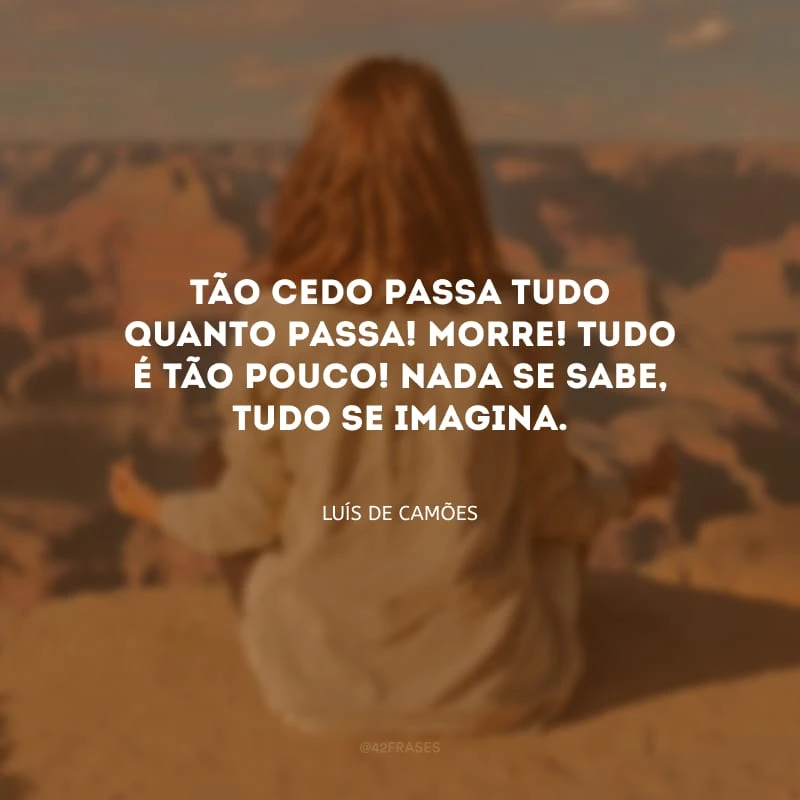 Tão cedo passa tudo quanto passa! Morre! Tudo é tão pouco! Nada se sabe, tudo se imagina.