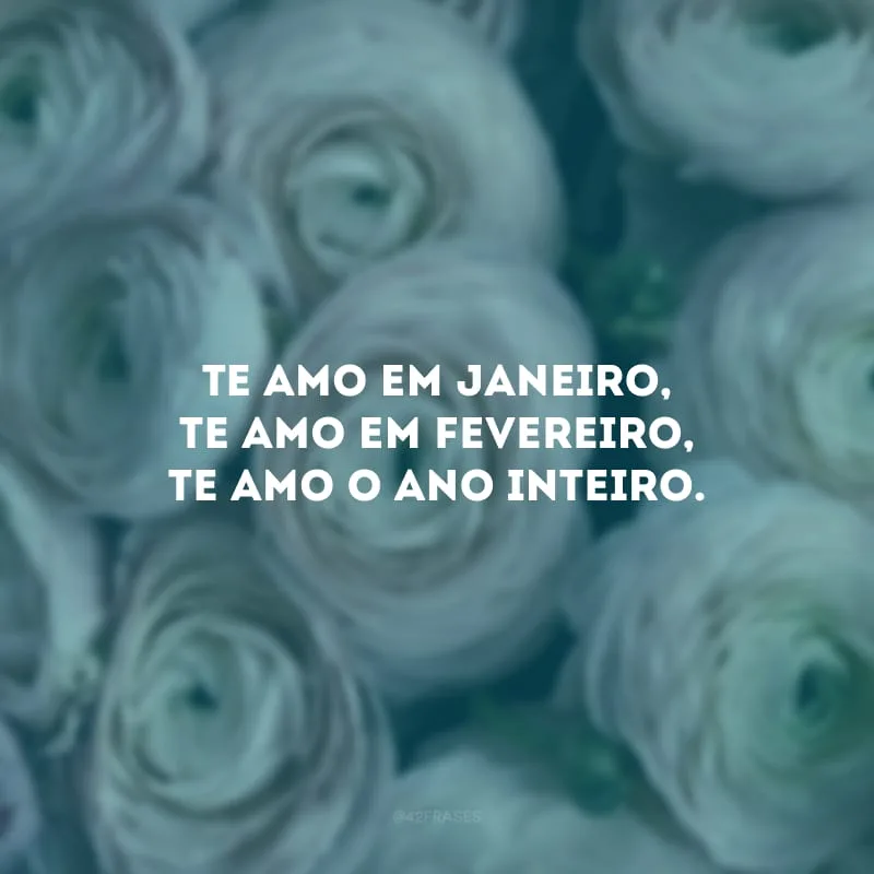 Te amo em janeiro, te amo em fevereiro, te amo o ano inteiro.