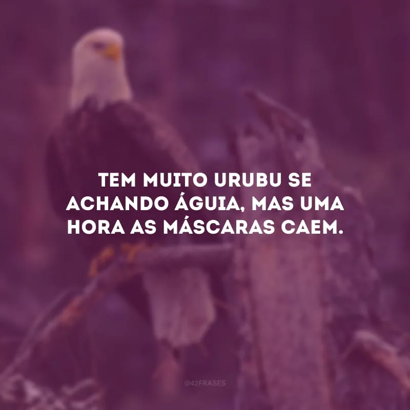 Tem muito urubu se achando águia, mas uma hora as máscaras caem.