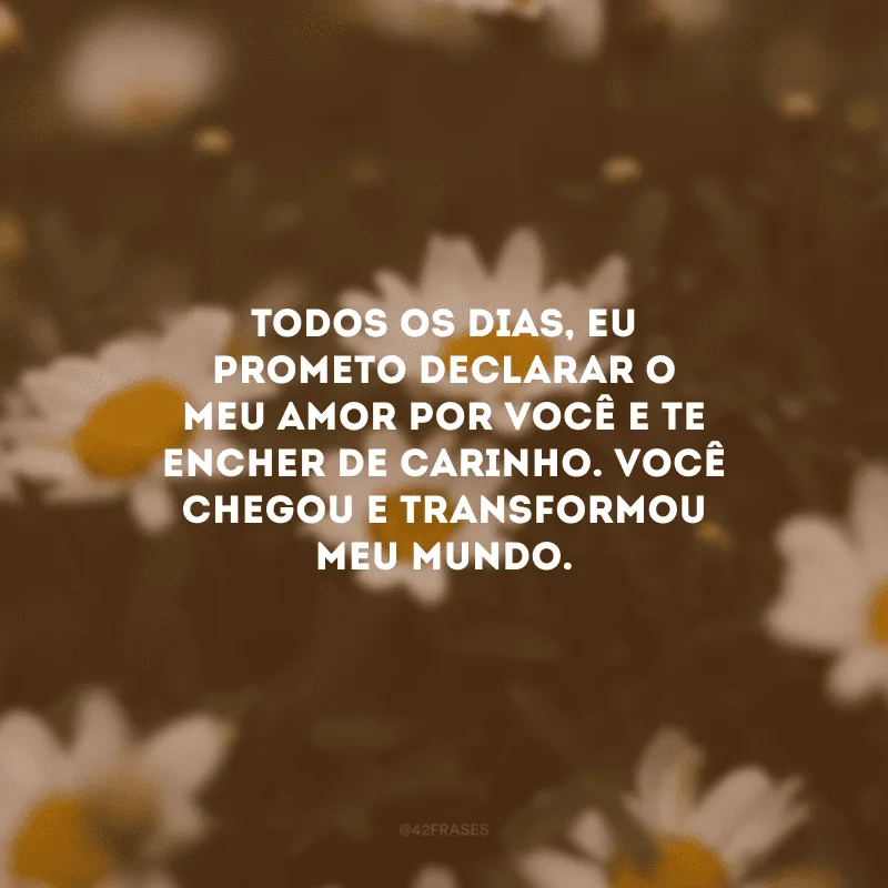 Todos os dias, eu prometo declarar o meu amor por você e te encher de carinho. Você chegou e transformou meu mundo.