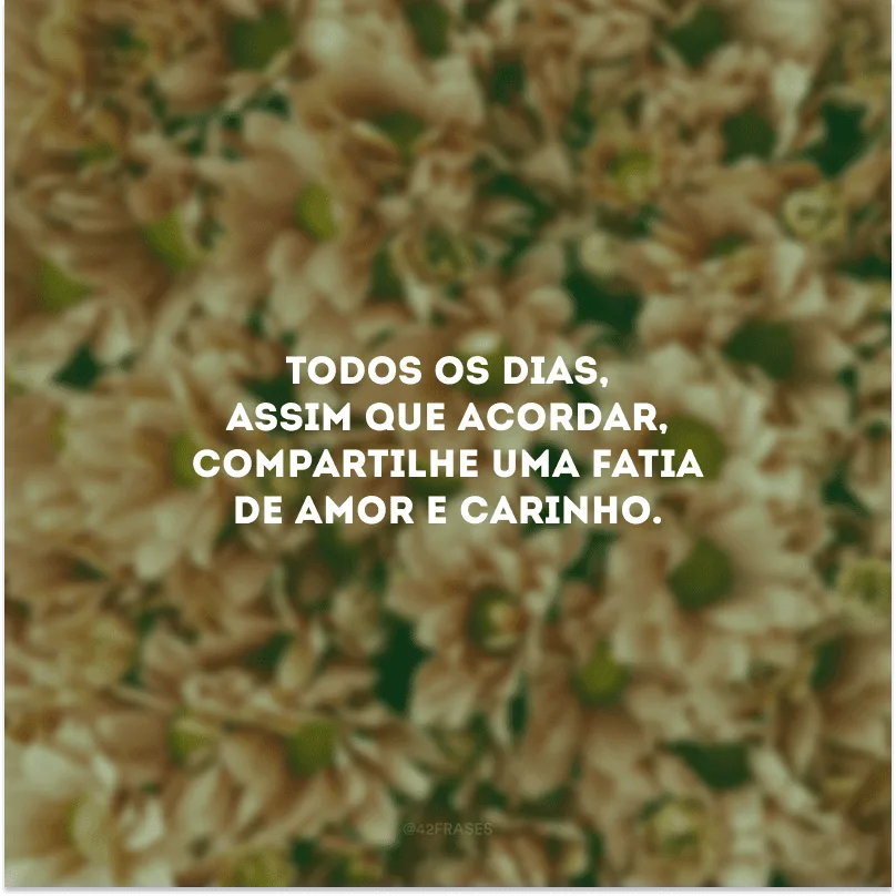 Todos os dias, assim que acordar, compartilhe uma fatia de amor e carinho.