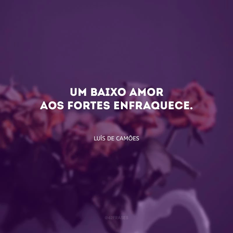 Um baixo amor aos fortes enfraquece.