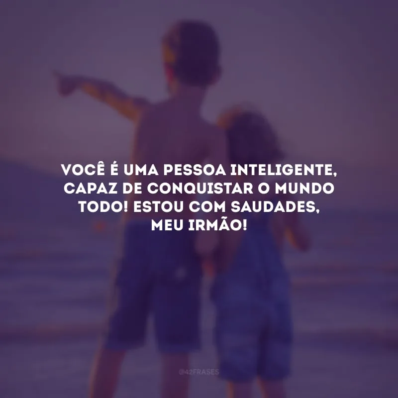 Você é uma pessoa inteligente, capaz de conquistar o mundo todo! Estou com saudades, meu irmão!