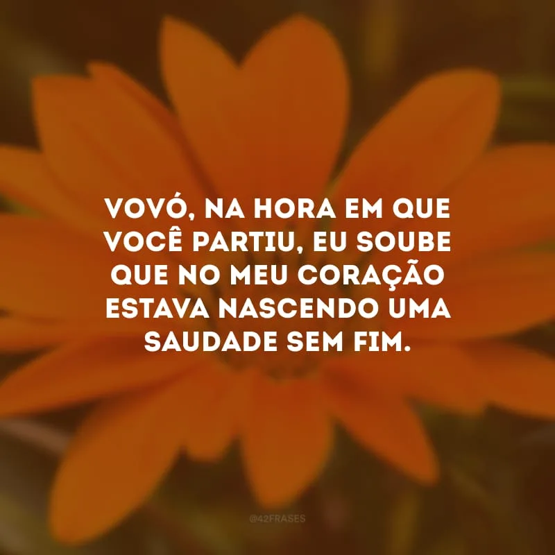 Vovó, na hora em que você partiu, eu soube que no meu coração estava nascendo uma saudade sem fim.