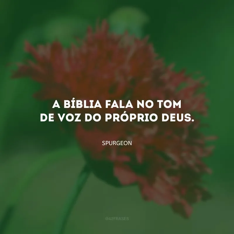 A Bíblia fala no tom de voz do próprio Deus.