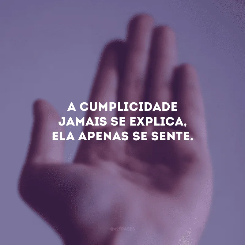 A cumplicidade jamais se explica, ela apenas se sente. 
