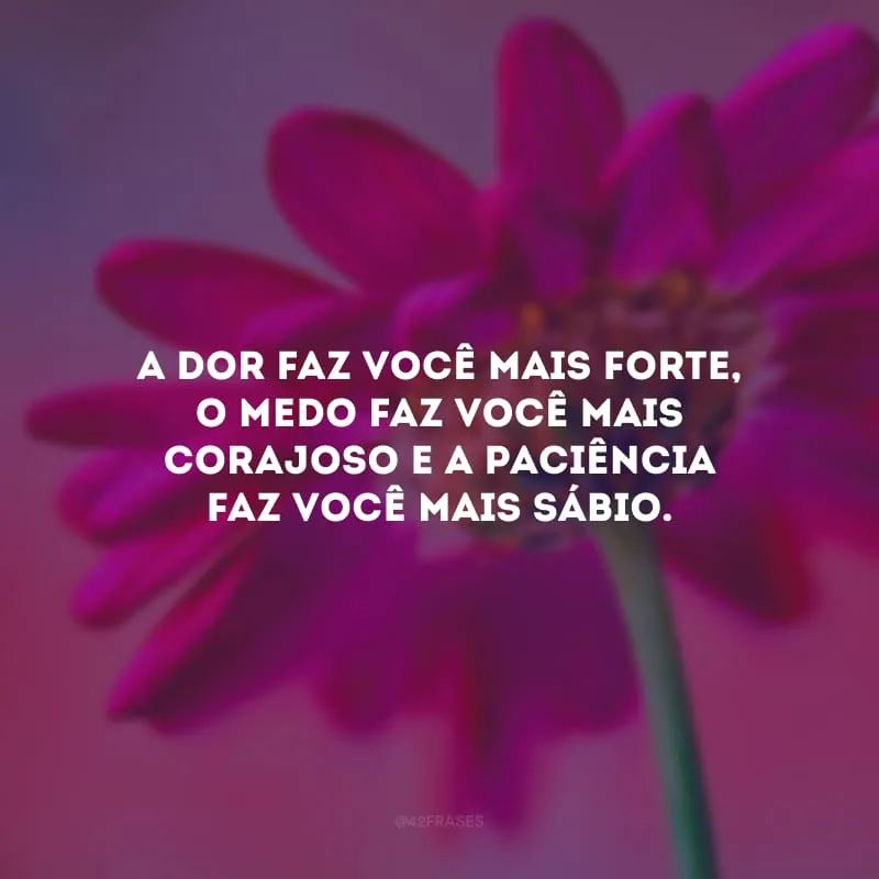 A dor faz você mais forte, o medo faz você mais corajoso e a paciência faz você mais sábio.