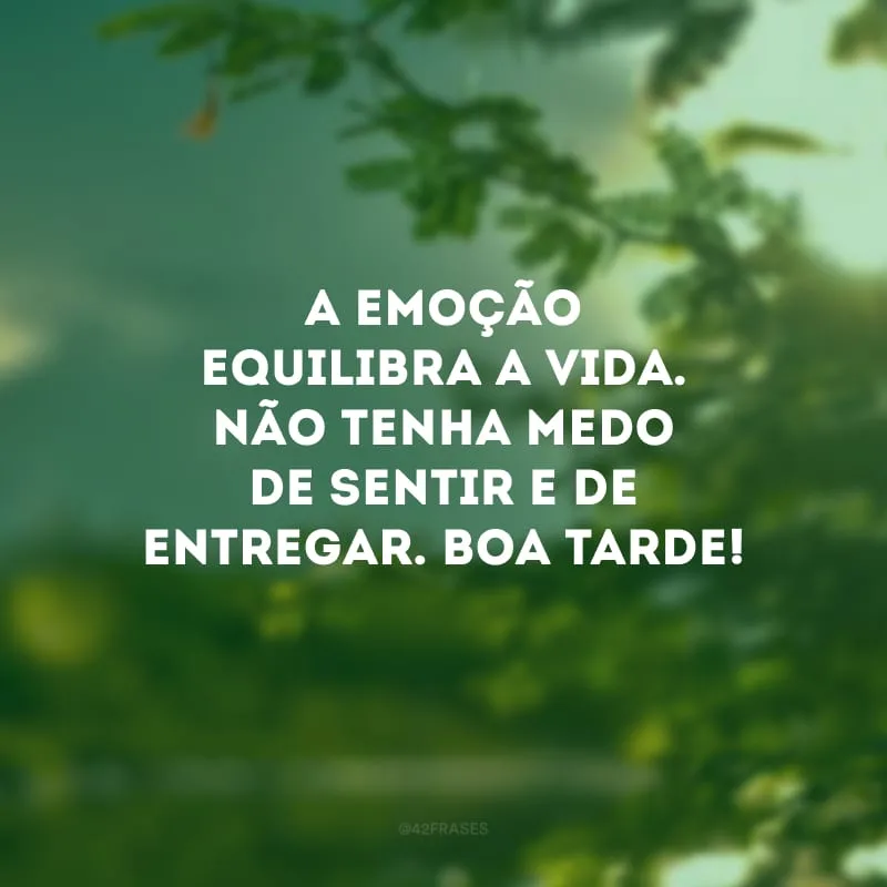 A emoção equilibra a vida. Não tenha medo de sentir e de entregar. Boa tarde!