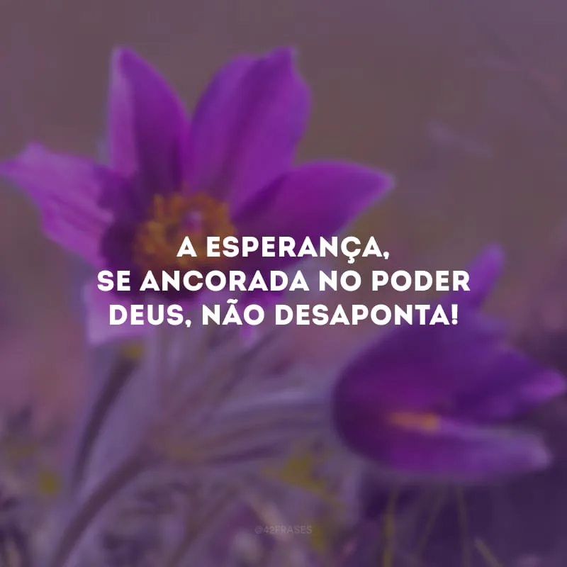 A esperança, se ancorada no poder Deus, não desaponta! 