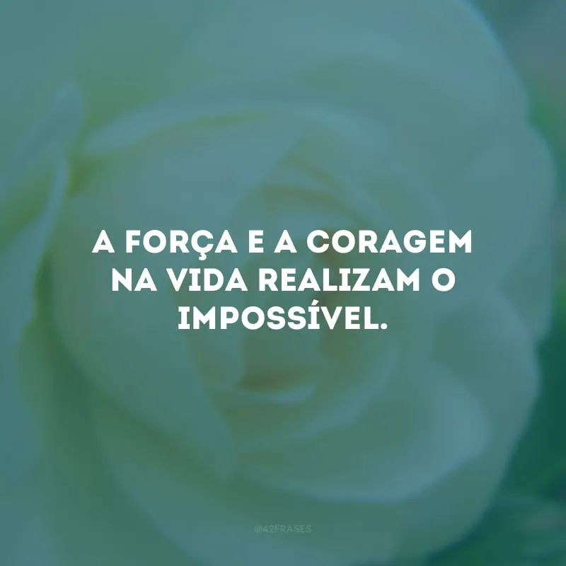 A força e a coragem na vida realizam o impossível.