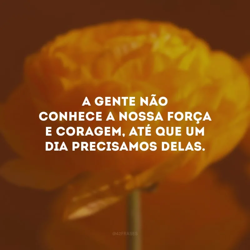 A gente não conhece a nossa força e coragem, até que um dia precisamos delas.