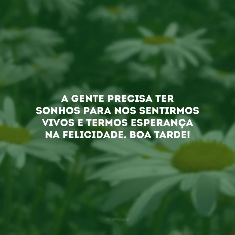 A gente precisa ter sonhos para nos sentirmos vivos e termos esperança na felicidade. Boa tarde!