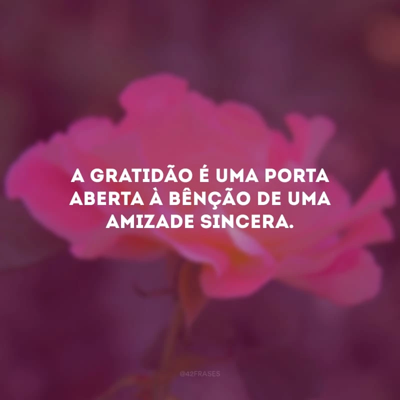 A gratidão é uma porta aberta à bênção de uma amizade sincera.