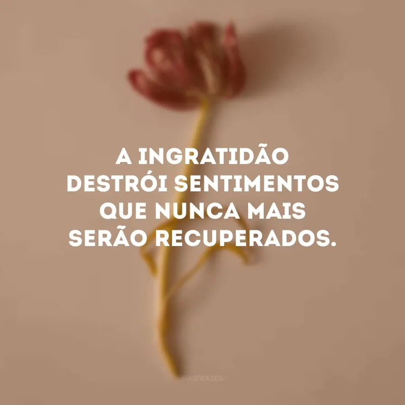 A ingratidão destrói sentimentos que nunca mais serão recuperados.