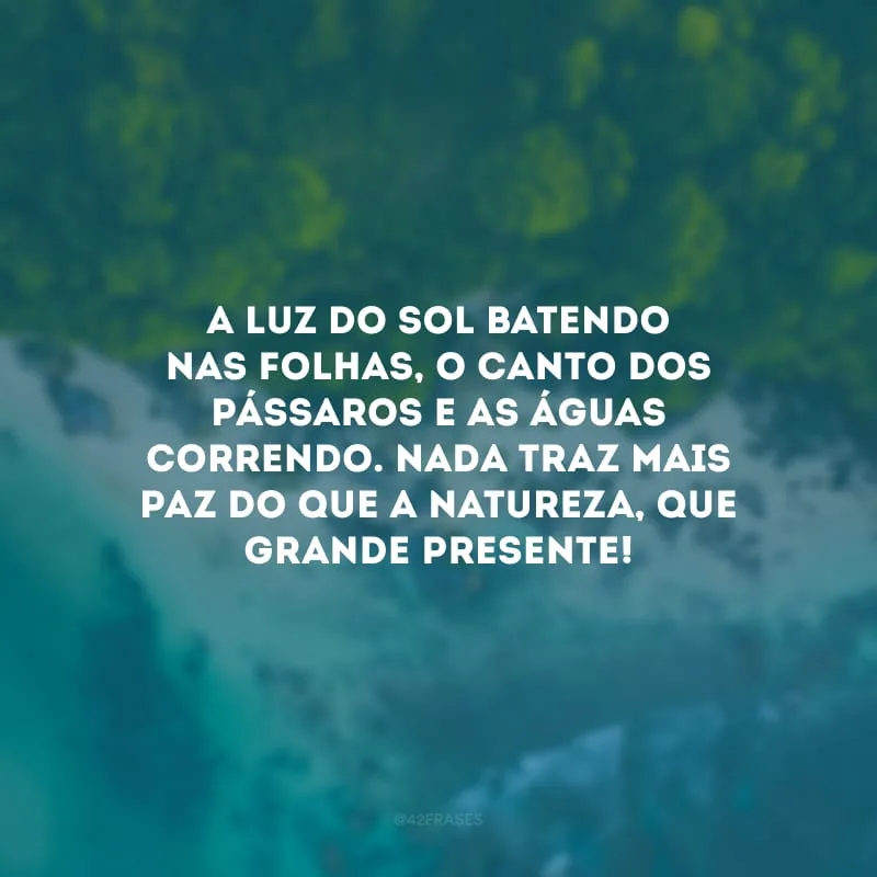 A luz do sol batendo nas folhas, o canto dos pássaros e as águas correndo. Nada traz mais paz do que a natureza, que grande presente!
