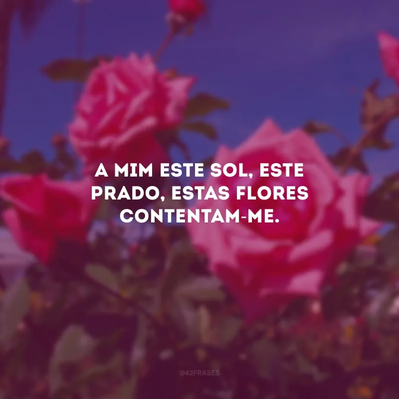 A mim este sol, este prado, estas flores contentam-me.
