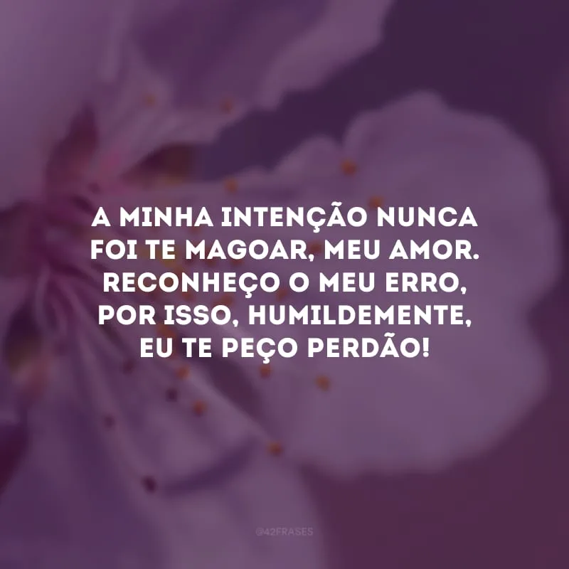 A minha intenção nunca foi te magoar, meu amor. Reconheço o meu erro, por isso, humildemente, eu te peço perdão!

