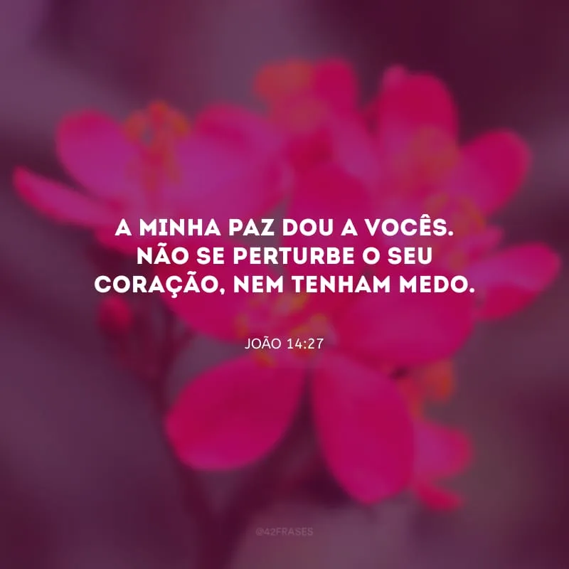 A minha paz dou a vocês. Não se perturbe o seu coração, nem tenham medo.