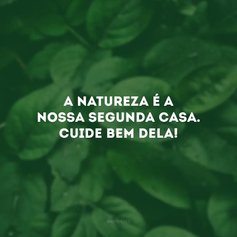 A natureza é a nossa segunda casa. Cuide bem dela!
