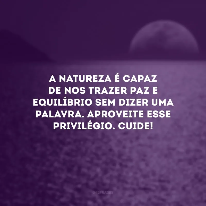 A natureza é capaz de nos trazer paz e equilíbrio sem dizer uma palavra. Aproveite esse privilégio. Cuide!
