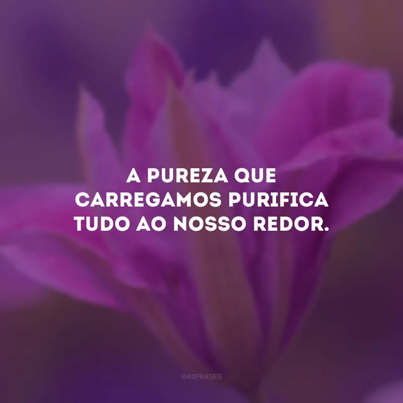 A pureza que carregamos purifica tudo ao nosso redor.