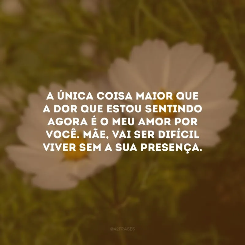 A única coisa maior que a dor que estou sentindo agora é o meu amor por você. Mãe, vai ser difícil viver sem a sua presença.