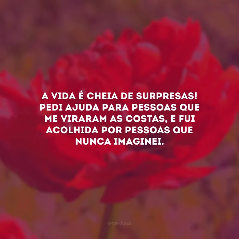 A vida é cheia de surpresas! Pedi ajuda para pessoas que me viraram as costas, e fui acolhida por pessoas que nunca imaginei.