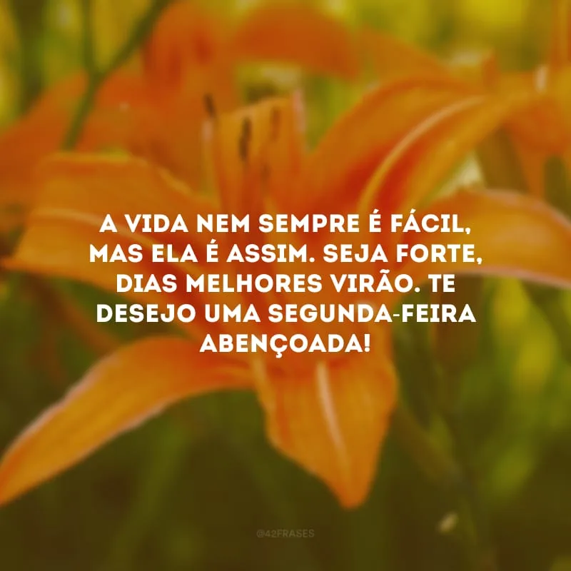 A vida nem sempre é fácil, mas ela é assim. Seja forte, dias melhores virão. Te desejo uma segunda-feira abençoada!