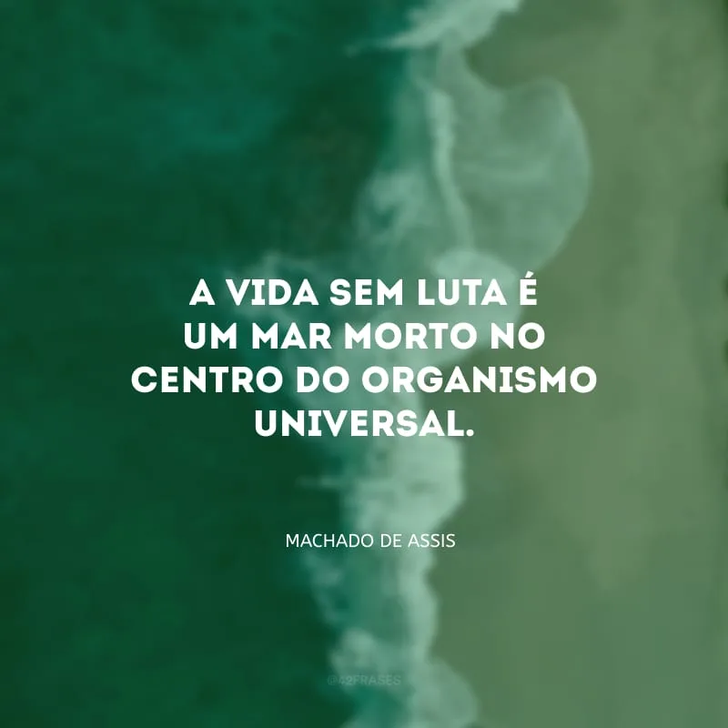 A vida sem luta é um mar morto no centro do organismo universal.
