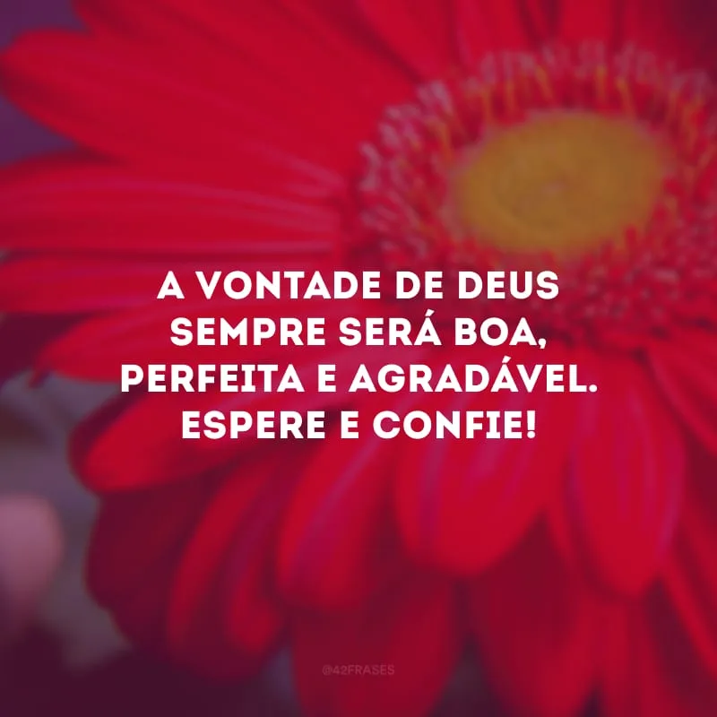 A vontade de Deus sempre será boa, perfeita e agradável. Espere e confie! 