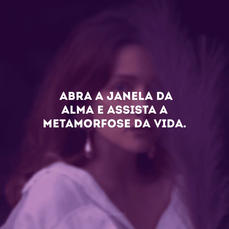 Abra a janela e deixe tudo de bom entrar, pois esta terça-feira é abençoada e Deus nos preparou mais um dia de muitas dádivas! Bom dia!