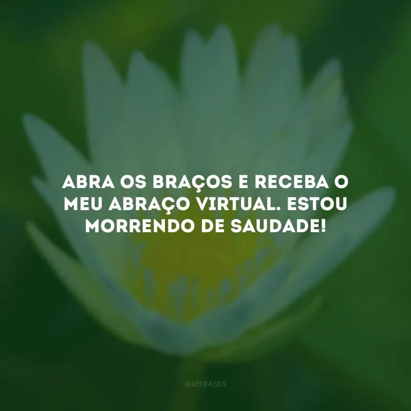 Abra os braços e receba o meu abraço virtual. Estou morrendo de saudade!