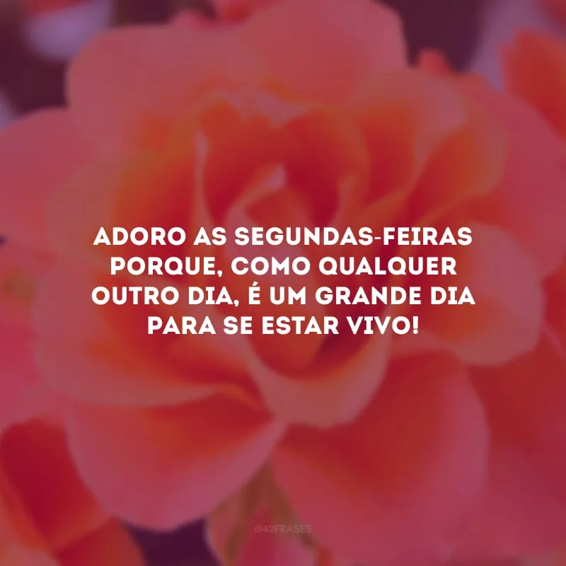 Adoro as segundas-feiras porque, como qualquer outro dia, é um grande dia para se estar vivo!