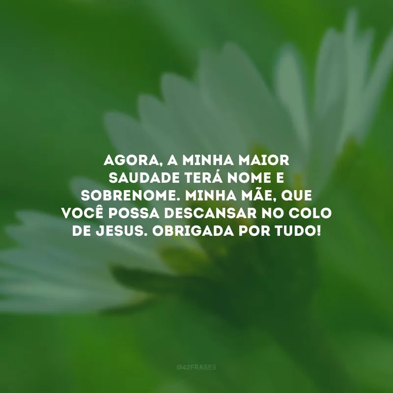Agora, a minha maior saudade terá nome e sobrenome. Minha mãe, que você possa descansar no colo de Jesus. Obrigada por tudo!