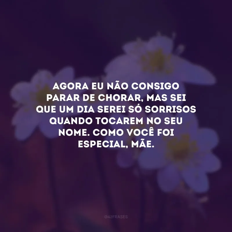 Agora eu não consigo parar de chorar, mas sei que um dia serei só sorrisos quando tocarem no seu nome. Como você foi especial, mãe.