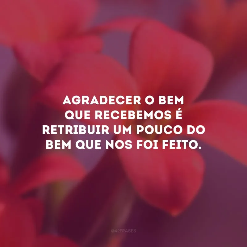 Agradecer o bem que recebemos é retribuir um pouco do bem que nos foi feito.