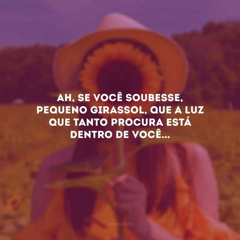 Ah, se você soubesse, pequeno girassol, que a luz que tanto procura está dentro de você...