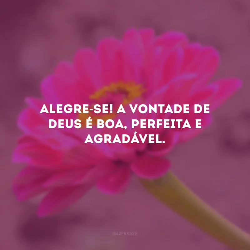 Alegre-se! A vontade de Deus é boa, perfeita e agradável.