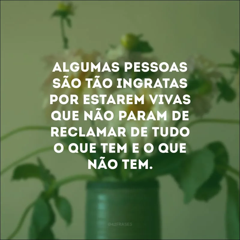 Algumas pessoas são tão ingratas por estarem vivas que não param de reclamar de tudo o que tem e o que não tem.