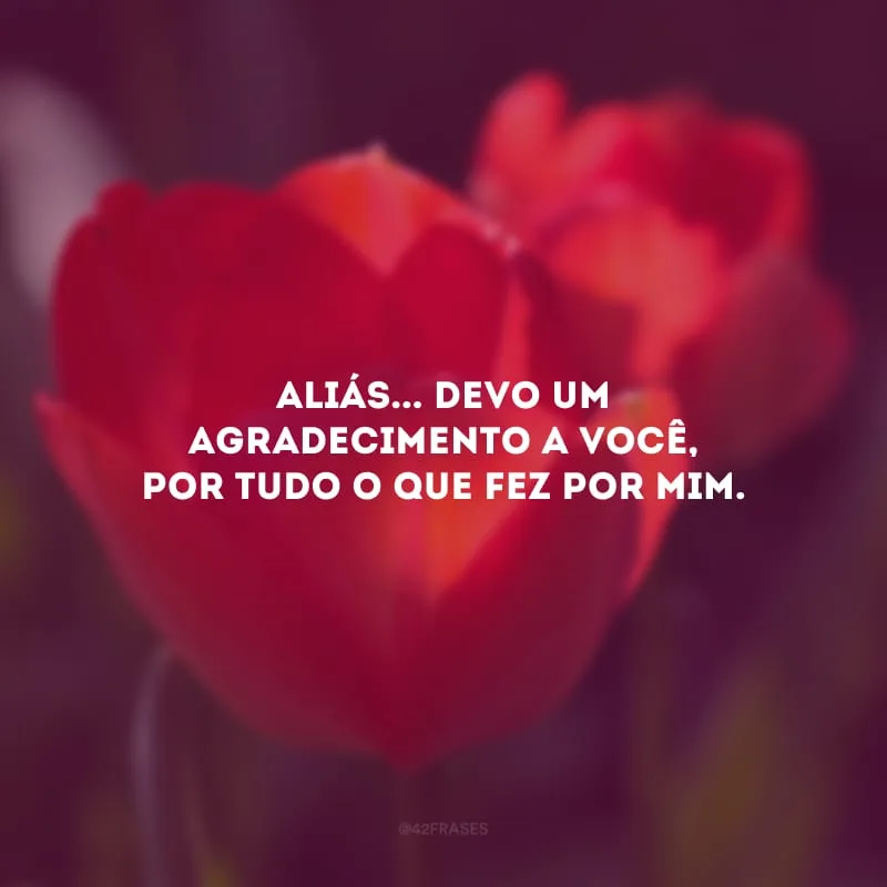 Aliás... Devo um agradecimento a você, por tudo o que fez por mim. 