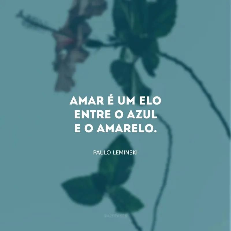 Amar é um elo entre o azul e o amarelo.