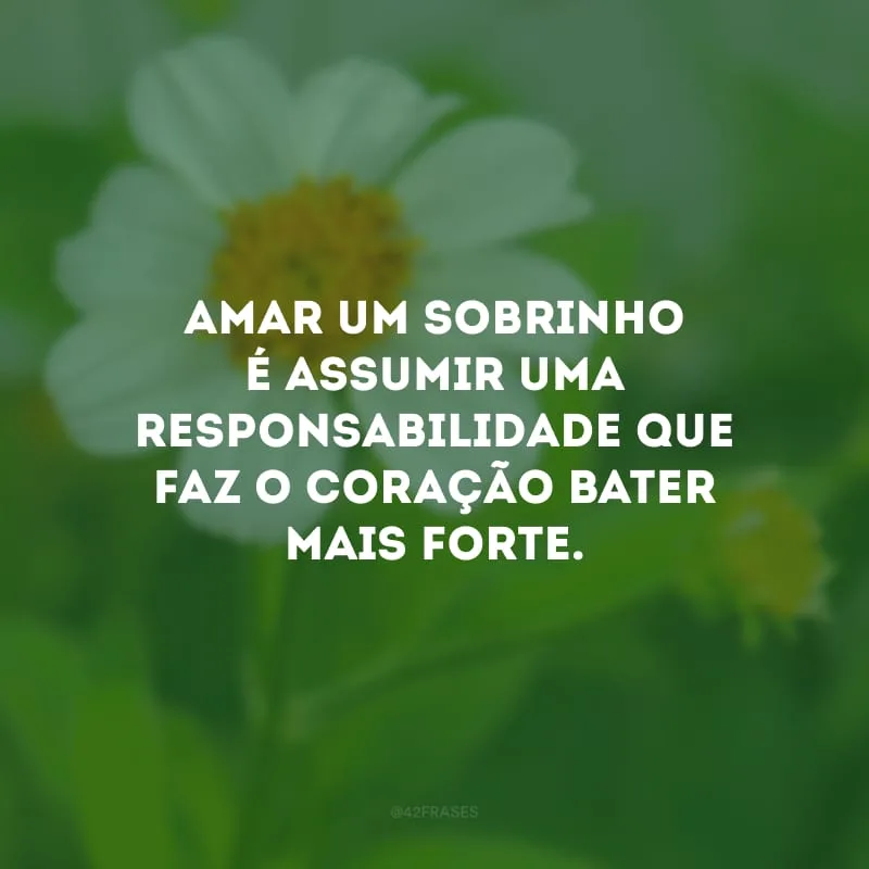 Amar um sobrinho é assumir uma responsabilidade que faz o coração bater mais forte.